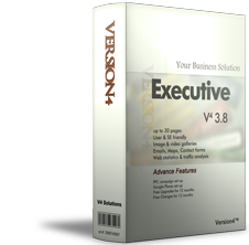 Website package: V4 3.8 Executive